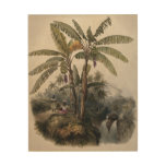 Antique Tropical Banana Tree Forest | Vintage Bota Wood Wall Art