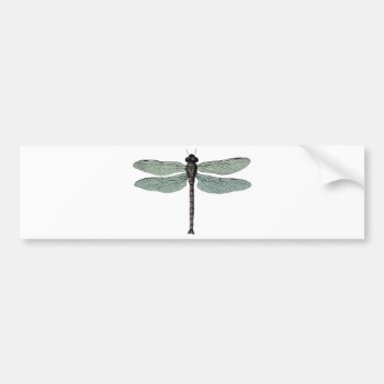 Antique Typographic Vintage Dragonfly Bumper Sticker by PNGDesign at Zazzle