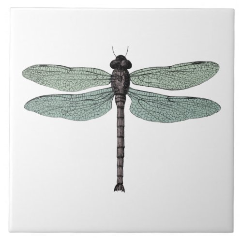 antique typographic vintage dragonfly ceramic tile