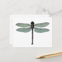 Antique Typographic Vintage Dragonfly Illustration