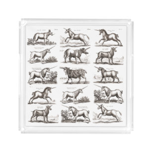Antique Unicorn Engraving Vintage Zoology Specimen Acrylic Tray