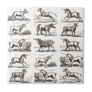 Antique Unicorn Engraving Vintage Zoology Specimen Ceramic Tile