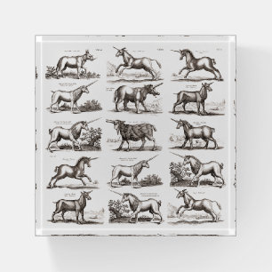 Antique Unicorn Engraving Vintage Zoology Specimen Paperweight