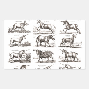 Antique Unicorn Engraving Vintage Zoology Specimen Rectangular Sticker