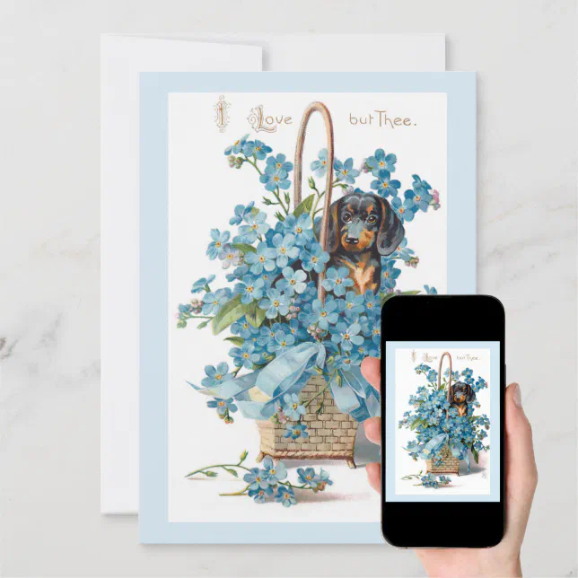 antique-valentine-forget-me-nots-and-dachsund-holiday-card-zazzle