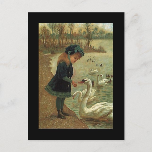 Antique Victorian Birding Trumpeter Swans Bird PCs Postcard (Front)