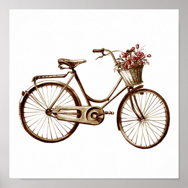 Antique Vintage Bicycle Basket Flowers Roses Print (Front)