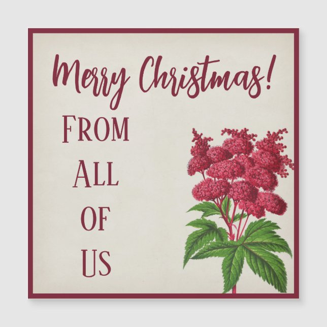 Antique Vintage Christmas Red Spiraea Palmata (Front)