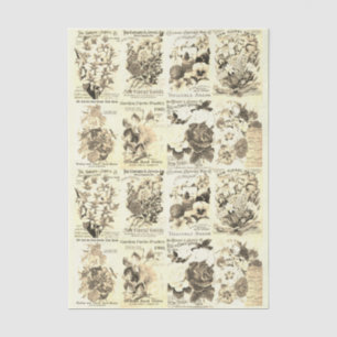Antique Vintage Flower Seed Catalogue Beige Tissue Paper