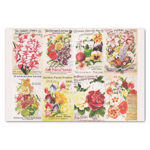 Antique Vintage Flower Seed Catalogue Tissue Paper