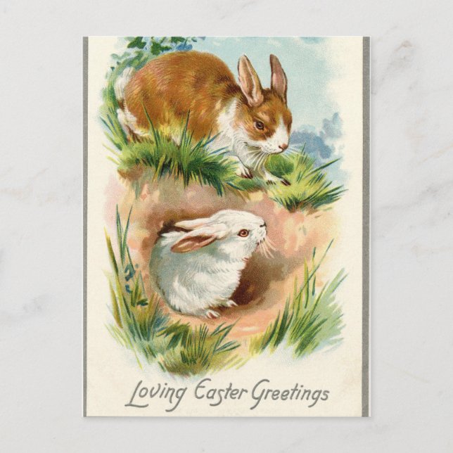 Antique Vintage Happy Easter drawn bunnies Holiday Postcard (Front)