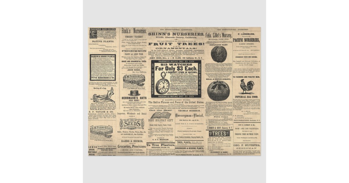 Antique Vintage Horticulture Ads Ephemera Sepia Tissue Paper | Zazzle