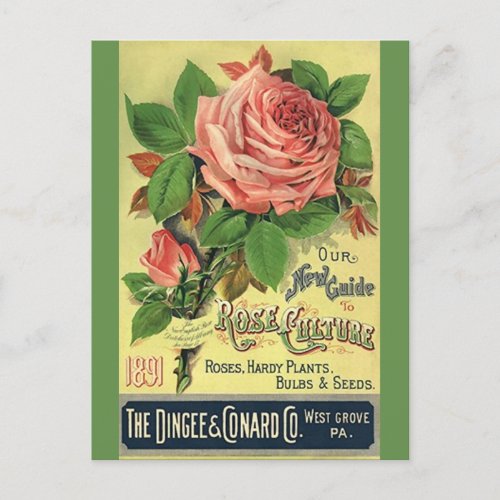 Antique Vintage Rose Gardening Garden catalog PCs Holiday Postcard