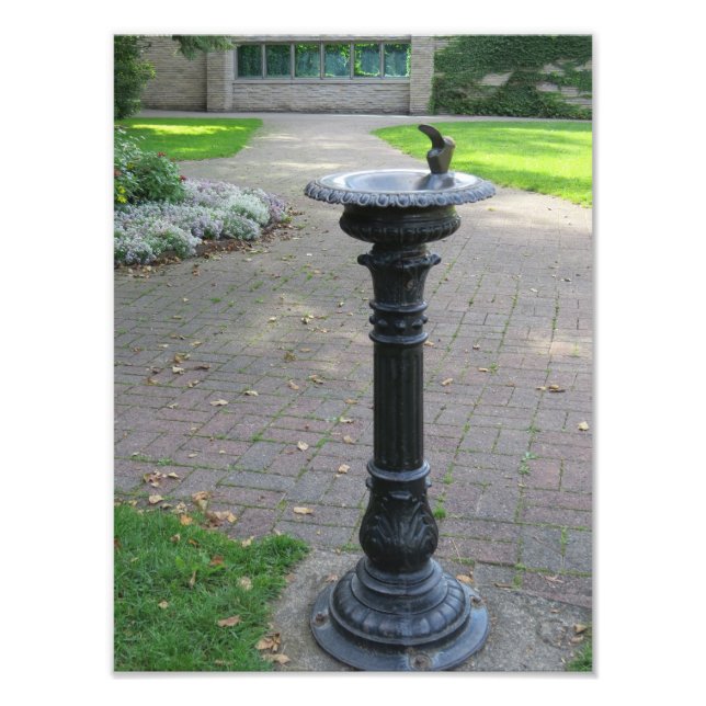 Antique Water Drinking Fountain Photo Print (Front)