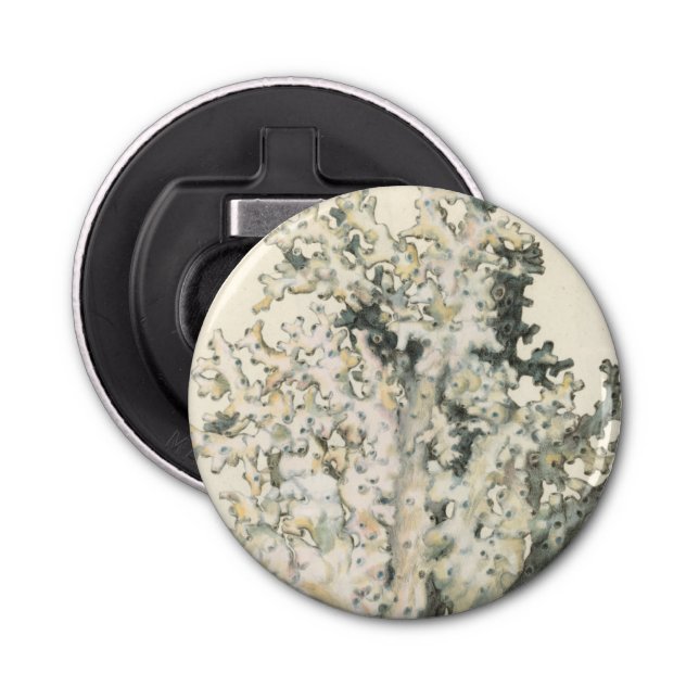 Antique Watercolor Coral Bottle Opener (Front)