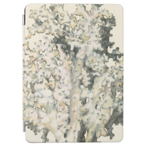 Antique Watercolor Coral iPad Air Cover