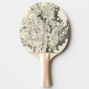 Antique Watercolor Coral Ping-Pong Paddle