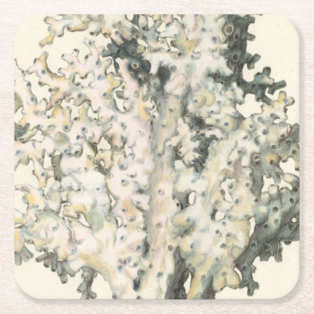 Antique Watercolor Coral Square Paper Coaster (Front)