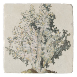 Antique Watercolor Coral Trivet