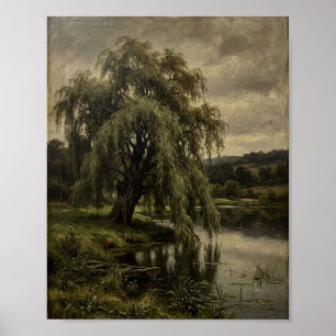 Antique Weeping Willow Tree Botanical I Poster