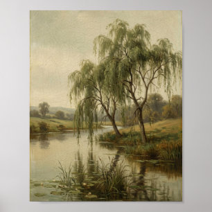 Antique Weeping Willow Tree Botanical II Poster