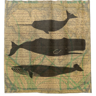 Antique Whale Nautical Vintage Ocean Sea Life Shower Curtain