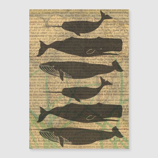 Antique Whale Nautical: Vintage Sea Life (Front)