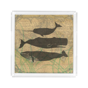 Antique Whale Nautical: Vintage Sea Life  Acrylic Tray
