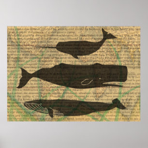 Antique Whale Nautical: Vintage Sea Life Poster