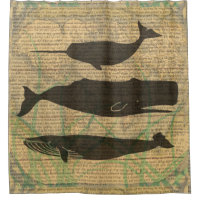 Antique Whale Nautical: Vintage Sea Life