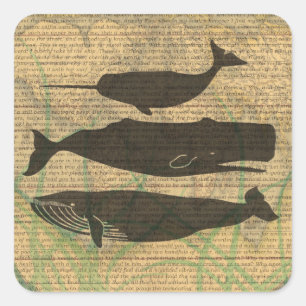 Antique Whale Nautical: Vintage Sea Life Square Sticker