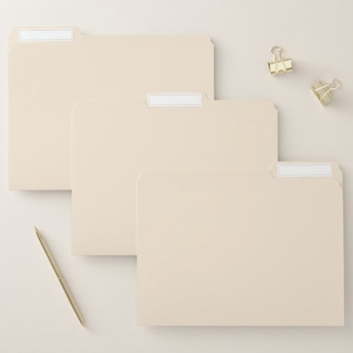 Antique White Solid Color File Folder