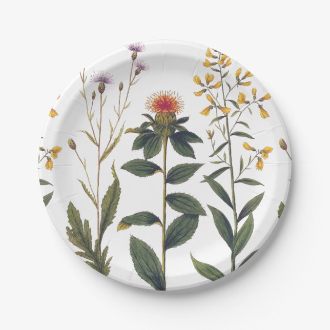 Antique Wildflower Elegant Vintage Nature Lover Paper Plates (Front)