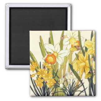 Antique Wood Block Print Daffodils Magnet