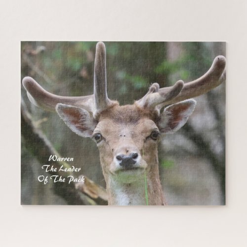Antler Stag Photo Personalized Jigsaw Puzzle