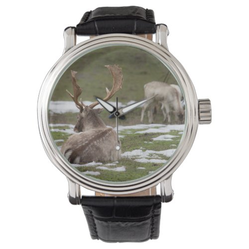 Antler Watch