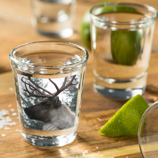Antlered Caribou Photo Shot Glass (In Situ)