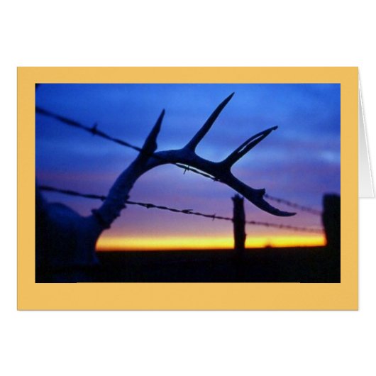 "Antlers #3" Cards (Front Horizontal)