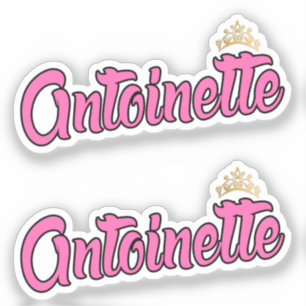Antoinette Pink Name x2 Vinyl Sticker
