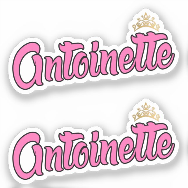 Antoinette Pink Name x2 Vinyl Sticker (Front)