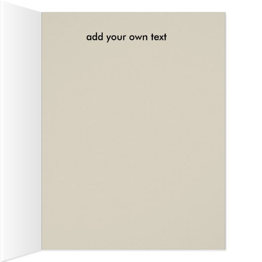 Anton Pieck - Chemist shop (Inside (Right))