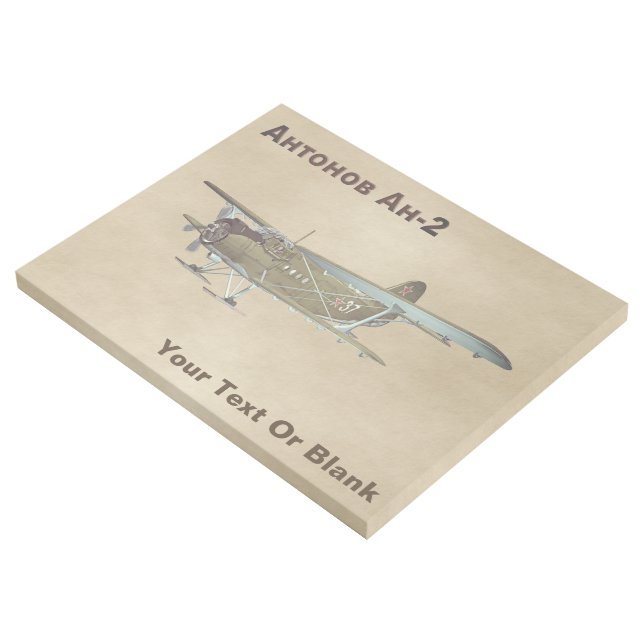 Antonov An-2 Gallery Wrap (3/4)