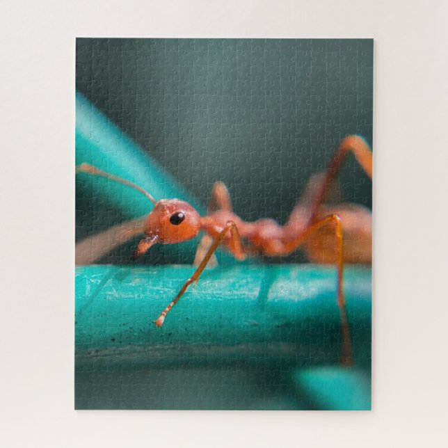 Ants Close Up Jigsaw Puzzle (Vertical)