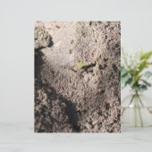 Ants Go Marching (Standing Front)