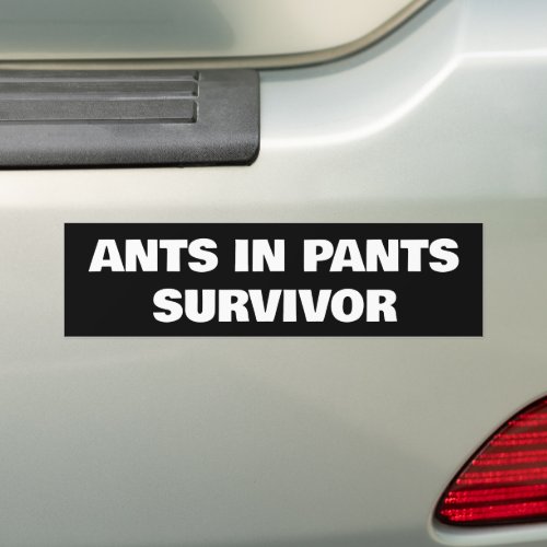 Ants in Pants Survivor Bumper Sticker