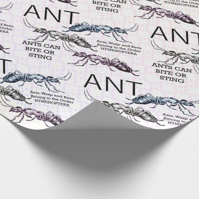 Ants Insects Bugs Wrapping Paper (Corner)