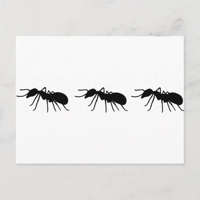 Ants Postcard (Front)