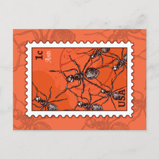 Ants Postcard