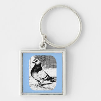 Antwerp Short Faced Pigeon Keychain
