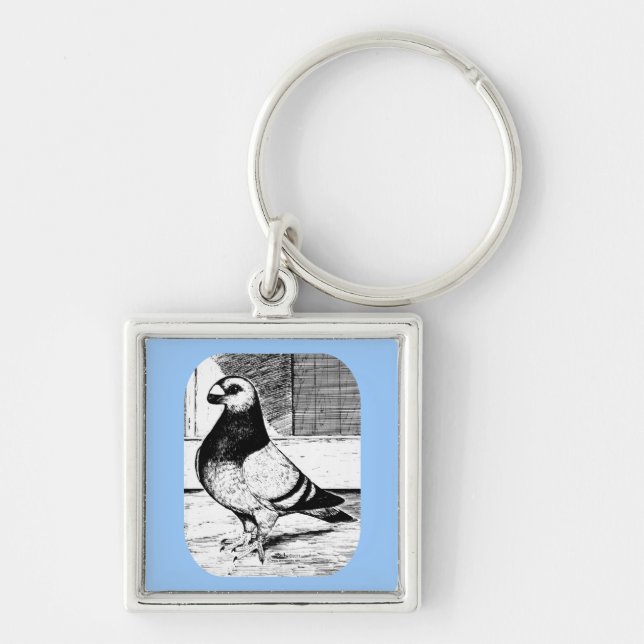 Antwerp Short Faced Pigeon Keychain (Front)